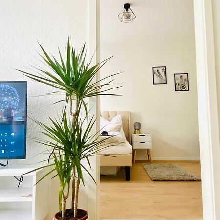 Stilvolles Apartment In Zentraler Lage - Smart-Tv, Queensize-Bett, Altbaustil, Kueche In City-Naehe Erfurt Exterior foto